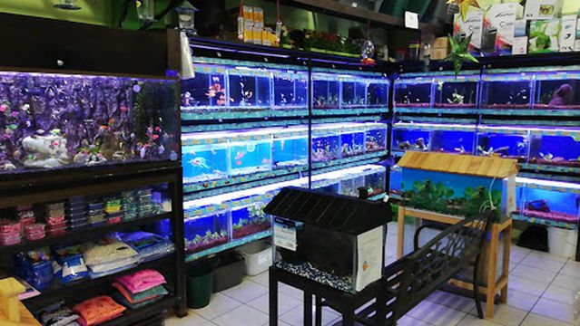 Veterinaria Exo Planet