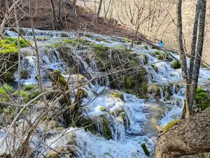 Taor Springs