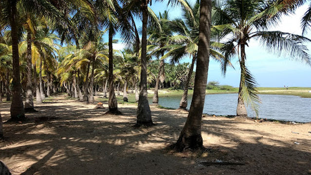 Chinnaveerampattinam Beach
