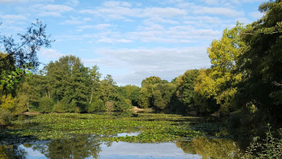 Horley