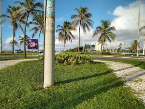 Cinelândia, Surf Point