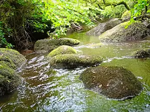 Gorges de Toul Goulic