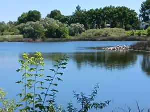 Lake Stafford Park