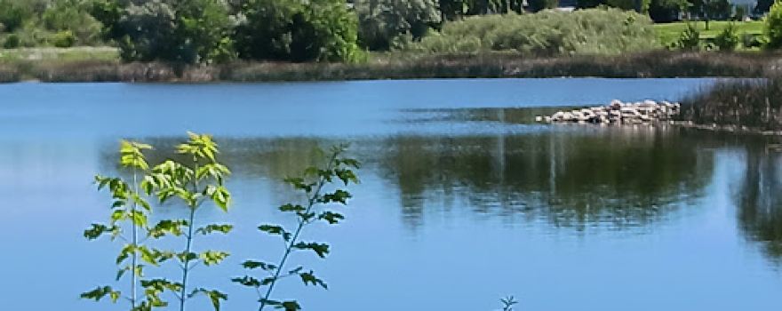 Lake Stafford Park