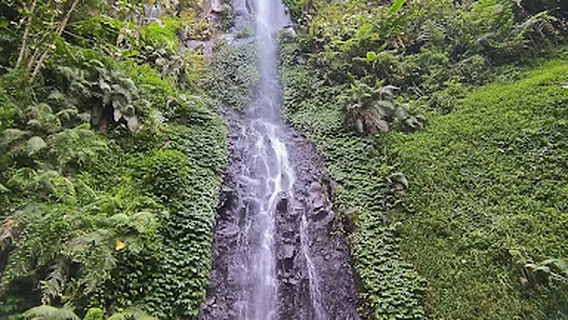 Curug Cipalasari