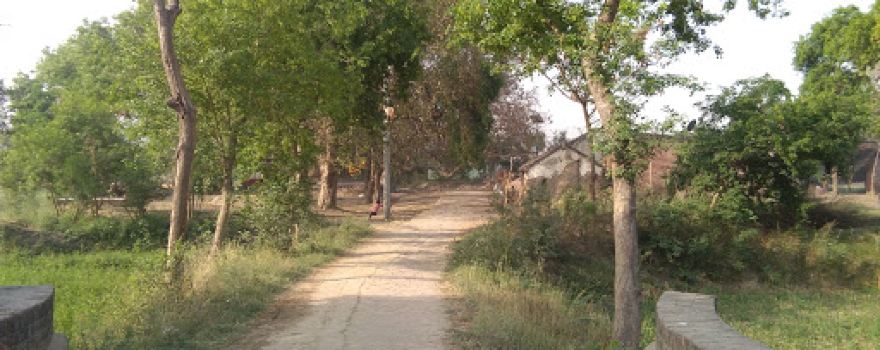 Saayar Mata Mandir Paura