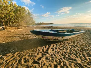 Playa Lagarto