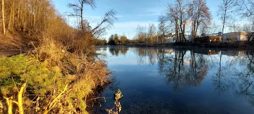 黑爾佈雷希廷根