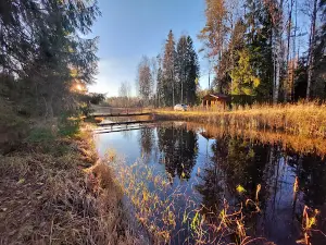 Kopra tare lõkkekoht RMK