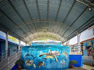 Pusat Pemeliharaan penyu