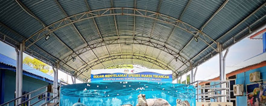 Pusat Pemeliharaan penyu