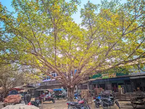 Kortimari Jame Mosjid