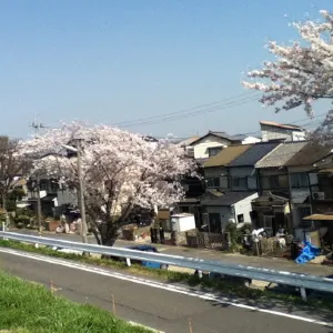Izumiya Park