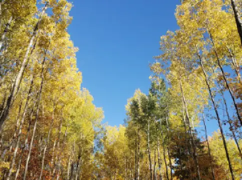 Newbold Recreation Area Rookery Run