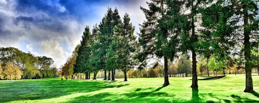 Wishaw Golf Club