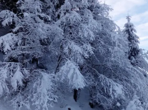 Mineralʹne Dzherelo "Kelechynsʹkyy Kvas"