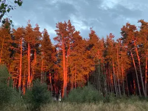 Camping la Tanière des Loups