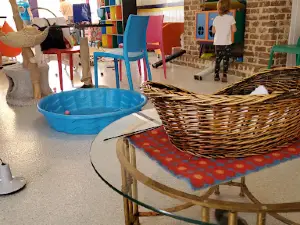 Purr & Pour Cat Cafe