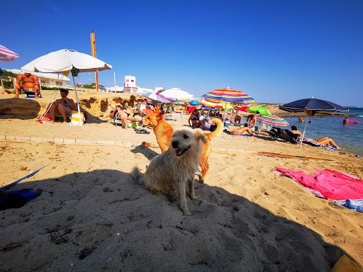 Spiaggia del Mare dei Cavalli