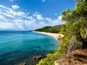 La Rojala-Platja del Torn