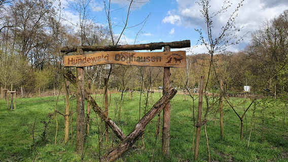 Hundewald Doghausen