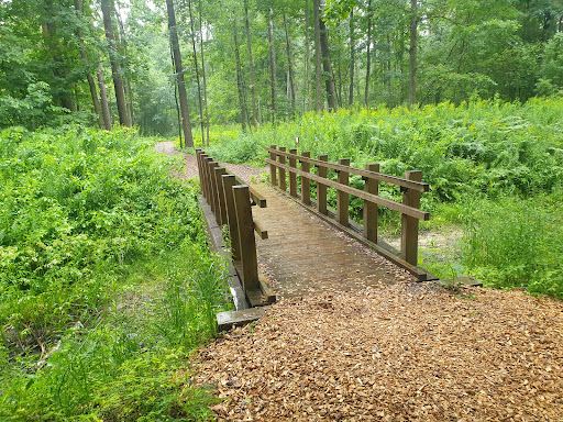 Langervalde forest park
