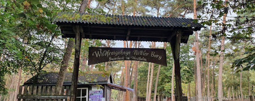 Wildfreigehege Nöttler Mountain