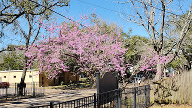 Little Children's Park