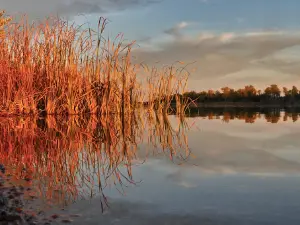 Farm Island State Recreation Area Campground
