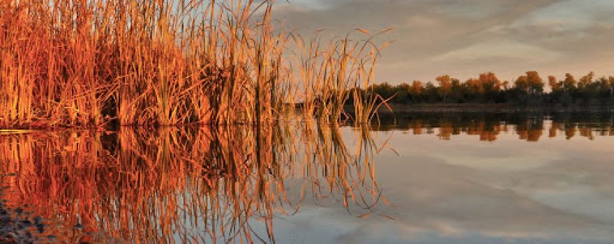 Farm Island State Recreation Area Campground