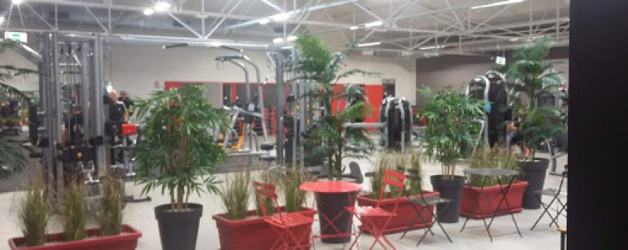 Salle De Sport
