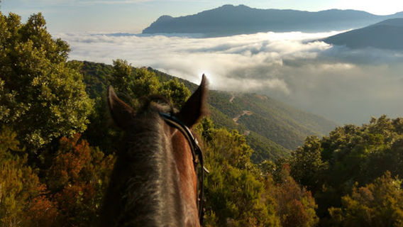 A.S.D. SELLA SARDA - Escursione e gite a cavallo in Sardegna / Horse riding tours in Sardinia