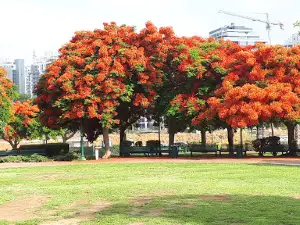 Park Atidim