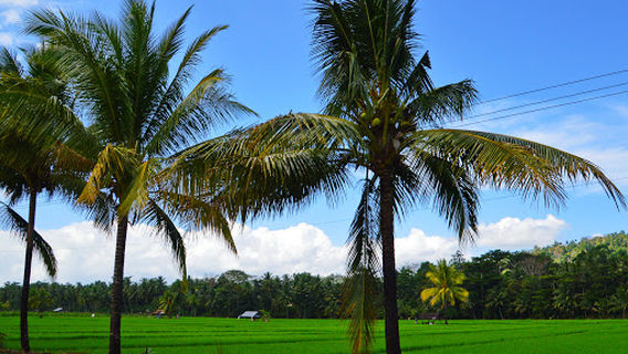 Kelapa Gading Water Park