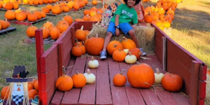 Trinity United Methodist Church