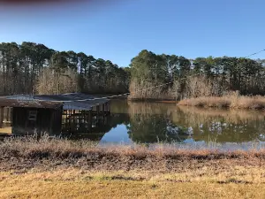 Lowe's Creek Park