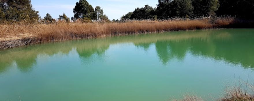 Llac de Formigosa