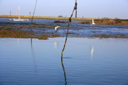 Richard Haward's Oysters