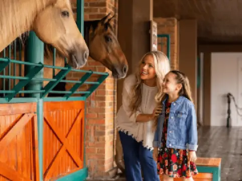 Dolly Parton's Stampede