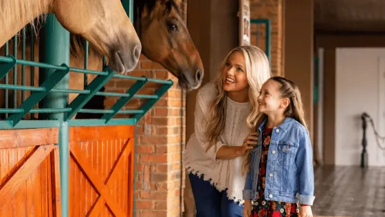 Dolly Parton's Stampede
