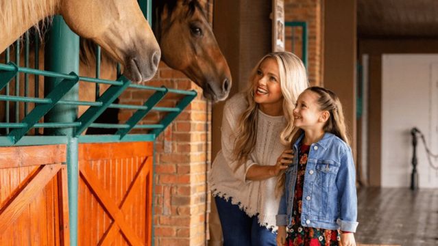 Dolly Parton's Stampede