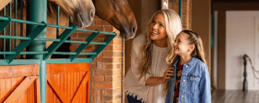 Dolly Parton's Stampede