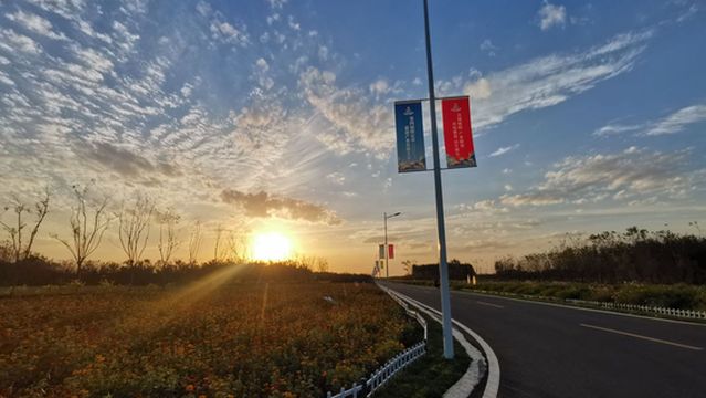 zhong guo bo ye sha wo qian nian wan mu gu li yuan