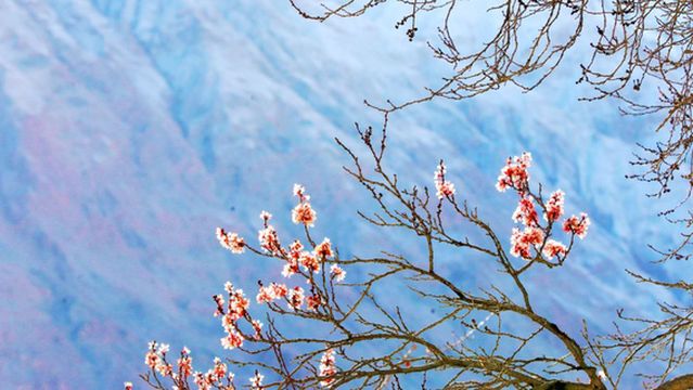 Tashkurgan Kukosilu Tent Camp
