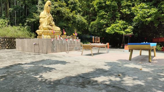 岑溪