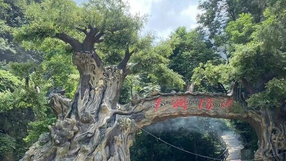 9 dong 18 he jing qu