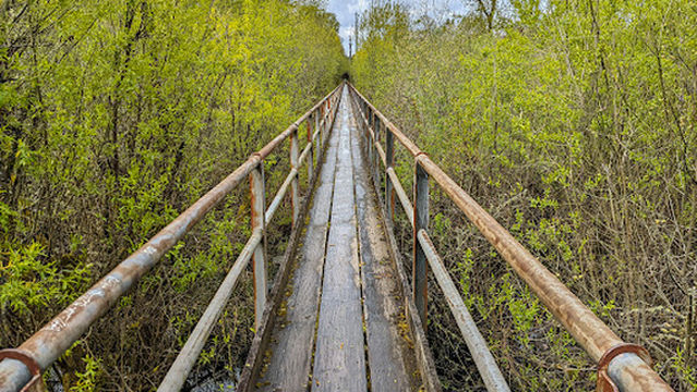 Wapato Park Off-Leash Dog Park