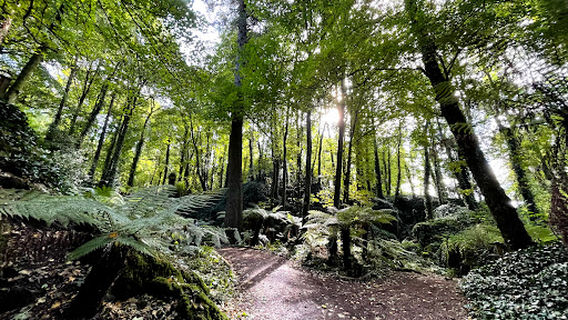 Blarney Castle & Gardens(Gairdíní Chaisleán na Blarnan)
