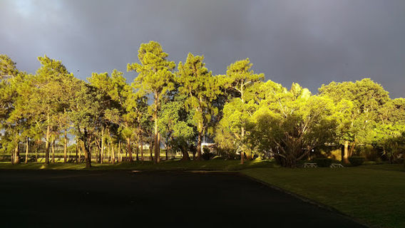 Curepipe