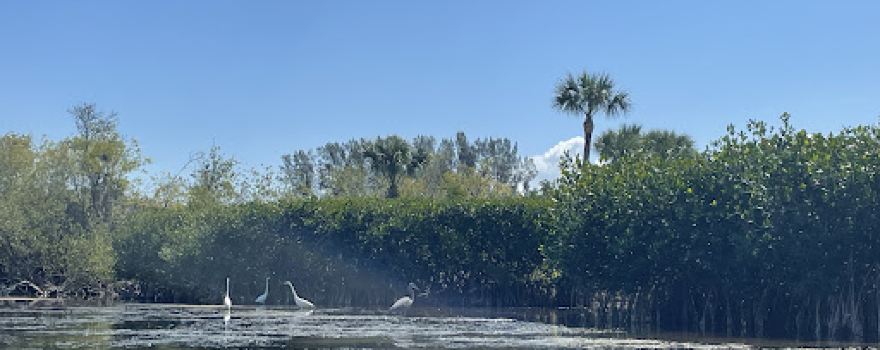 A Day Away Kayak Tours